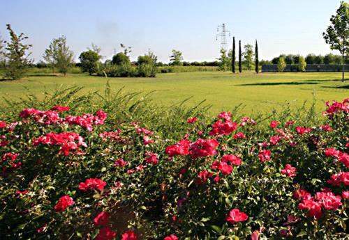 Country House Letizia Verona Dış mekan fotoğraf