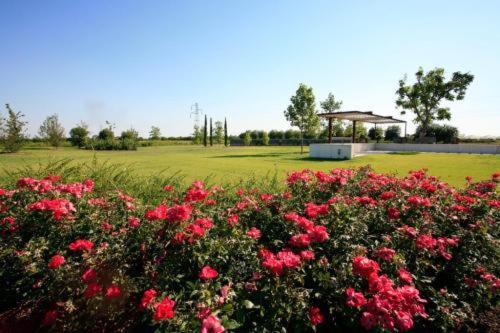 Country House Letizia Verona Dış mekan fotoğraf